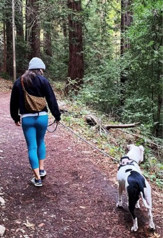 Image of person and dog on trail walk